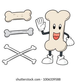 vector set of bone