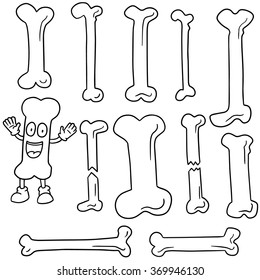 vector set of bone