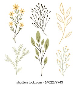 Vector set botanic elements - wildflowers, herbs, leaf. collection garden and wild foliage, summer flowers, branches. illustration isolated on white background. Hand draw.