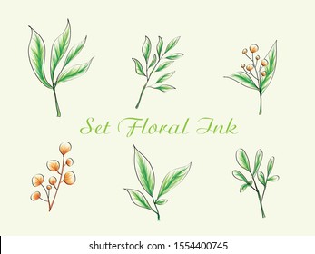 Vector set botanic elements. Wildflowers, herbs, leaf. Collection garden and foliage, branches. Illustration isolated on white background, tropical plants with nature watercolor greenery leafs