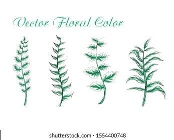 Vector set botanic elements. Wildflowers, herbs, leaf. Collection garden and foliage, branches. Illustration isolated on white background, tropical plants with nature watercolor greenery leafs