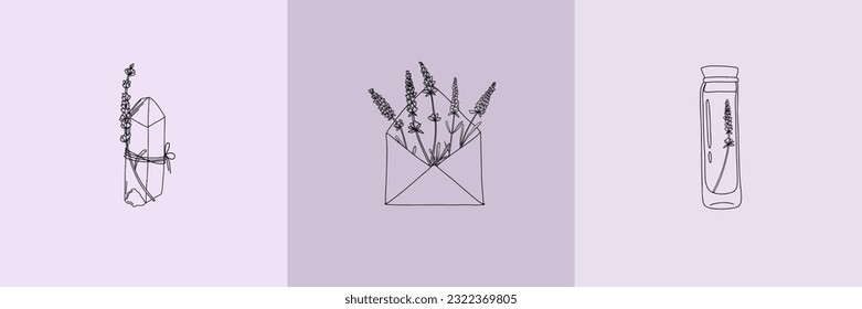 Vector set of botanical illustrations in minimal linear style, lavender flower illustration set, minimalistic modern floral logo