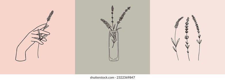 Vector set of botanical illustrations in minimal linear style, minimalistic modern floral logo