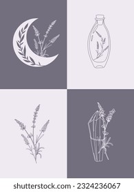 Conjunto vectorial de ilustraciones botánicas de estilo lineal mínimo, conjunto de ilustraciones de flores lavanda, logo floral moderno minimalista, afiche de arte prefabricado