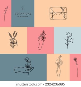 Vector set of botanical illustrations in minimal linear style, hand drawn elegant wildflowers, crystal, branches and vintage glass bottle, minimal floral line art drawing, pre-made art poster