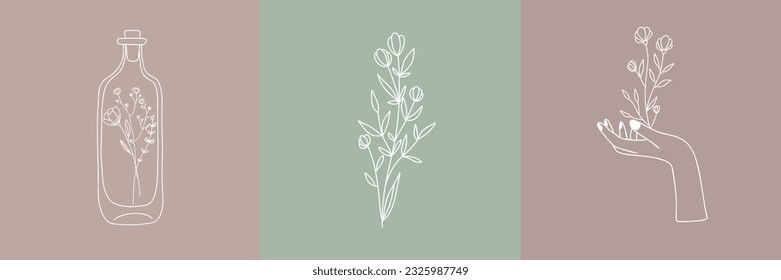 Conjunto vectorial de ilustraciones botánicas en un estilo lineal mínimo, logotipo floral moderno minimalista