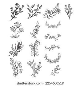 Vector set of botanical leaf doodle wildflower line art isolate on white background	