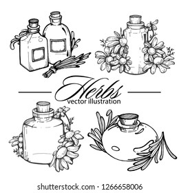 Vector set of bottles in ink hand drawn style. isolated on white.Vintage medicinal herbs sketch set.Botanical plant illustration.