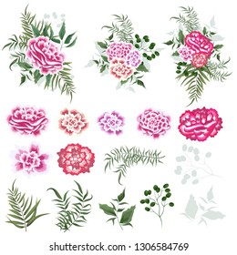 Vector set of bouquets of berries, green leaves, carnation flowers. All elements are isolated. All elements of bouquets on a white background.