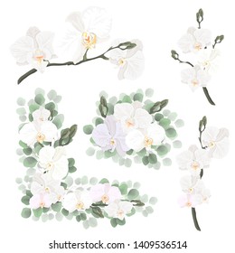 Vector set of bouquets with orchids. White orchids, green leaves and plants. All elements are isolated.