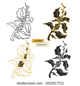 Vector set of branch of coffee tree with leaf and natural bean, grain on white background. Organic tropical food. Art line silhouette, botanical shape. Nature collection. Symbol of fresh black drink.