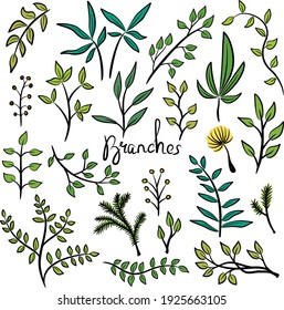 Vector set of branches of different trees in the contour. Handmade decorative elements on a white background. Colored isolated illustrations.