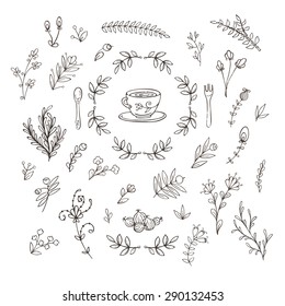 Vector set of branches, flowers, leaves and bushes. Doodle