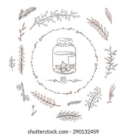 Vector set of branches, flowers, leaves and bushes. Doodle
