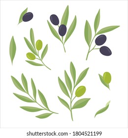 Vektorset aus Ästen mit grünen und violetten Oliven einzeln auf weißem Hintergrund.