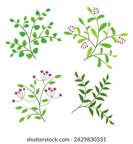 vector set of branches with leaves and berries on a white background.