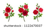 Vector set of branches of red roses isolated on a white background.