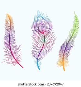 Vector set with bright abstract feathers