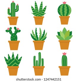 Vector set of bright cacti, aloe and leaves. Collection of exotic plants. Decorative natural elements are isolated on white. Cactus with flowers.