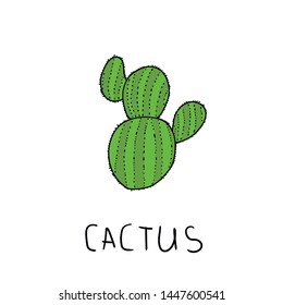 Vector set of bright cacti, aloe and leaves. Collection of exotic plants.
