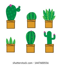 Vector set of bright cacti, aloe and leaves. Collection of exotic plants.