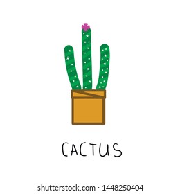 Vector set of bright cacti, aloe and leaves. Collection of exotic plants.