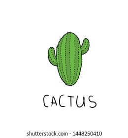 Vector set of bright cacti, aloe and leaves. Collection of exotic plants.