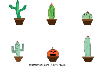 Vector set of bright cacti, aloe and leaves. Collection of exotic plants. Decorative natural elements are isolated on white. Cactus with flowers.