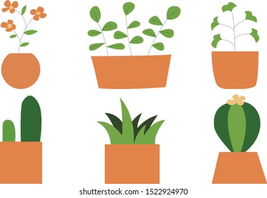 Vector set of bright cacti, aloe and leaves. Collection of exotic plants. Decorative natural elements are isolated on white. Cactus with flowers.