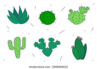 Vector set of bright cacti, aloe and leaves. Collection of exotic plants. Decorative natural elements are isolated on white. Cactus with flowers.