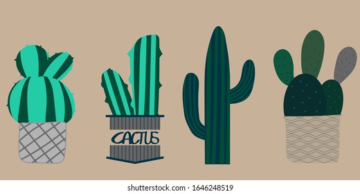 Vector set of bright cacti. Collection of exotic plants. Decorative natural elements are isolated on white.