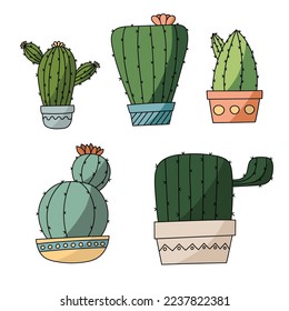 Vector set of bright cactus. Cactus with flowers.