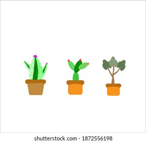 Vector set of bright cactus and leaves exotic plant collection