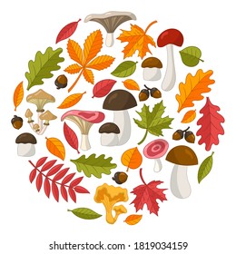 Vector set of bright colorful autumn leaves and edible mushrooms in circle shape on a white background