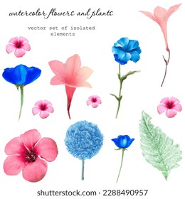 Vector set of bright flowers, plants and leaves in a watercolor style on a plain white background. All elements are isolated from each other.