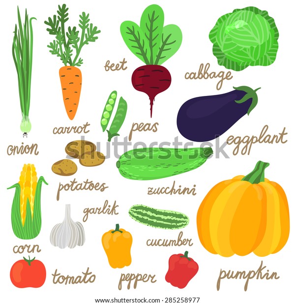 Vector Set Bright Hand Drawing Vegetables Stock Vector (Royalty Free