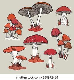 Vector set of bright hand drawn mushrooms