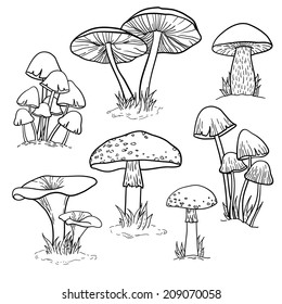 Vector set of bright hand drawn mushrooms