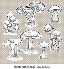 Vector set of bright hand drawn mushrooms