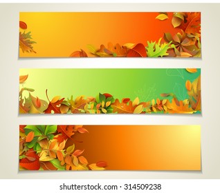 Vector set of bright horizontal fall banners. Three design templates. Autumn maple, oak, birch, elm, rowan, chestnut, aspen leaves and acorns on bright background. There are places for your text.