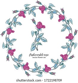 conjunto vectorial de colores rosas brillantes. Rose es rosa. Wreath.