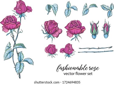 vector set of bright rose colors. Rose is pink.