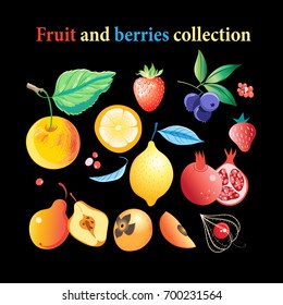 Vector set of bright tasty fruits and berries on a dark background
