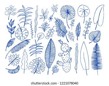 Vector set of bright tropical plants. Colorful hand-drawn Leaves, Inflorescences, Flowers. Blue  color