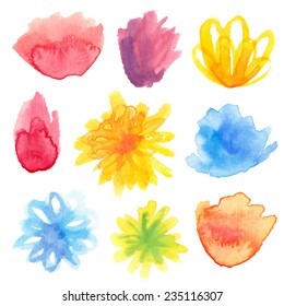 Vector set of bright watercolor floral blossoms