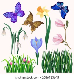 Vector set of bright-colored blooming flowers and butterflies. Long green grass. Beautiful flying insect. Spring theme