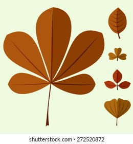 Vector set of brown and orange leaves of different trees. Includes leaves of chestnut, clover, gingo. 