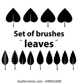 vector set of brushes leaves