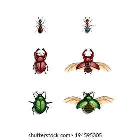 Vector set of bugs and ants