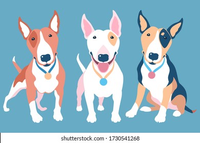 Vector set of Bull Terrier dogs of different typical colors